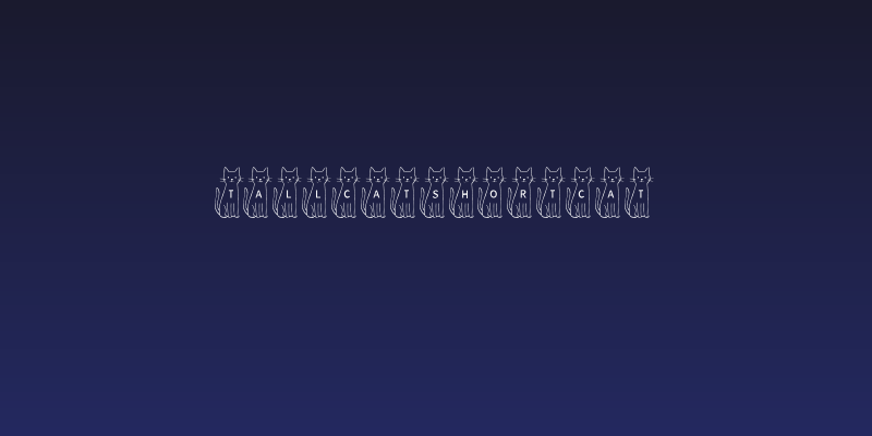 TallCatShortCat Social Header