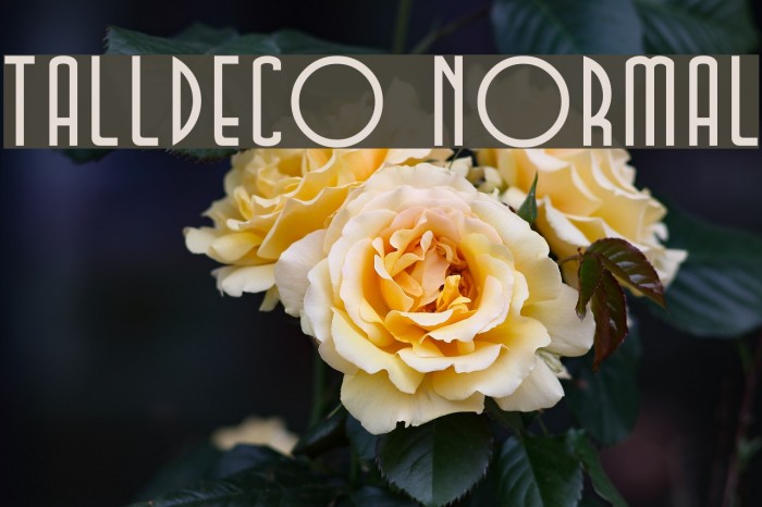 TallDeco Normal Font examples