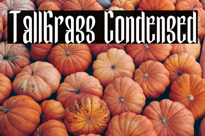 TallGrass Condensed Example 1