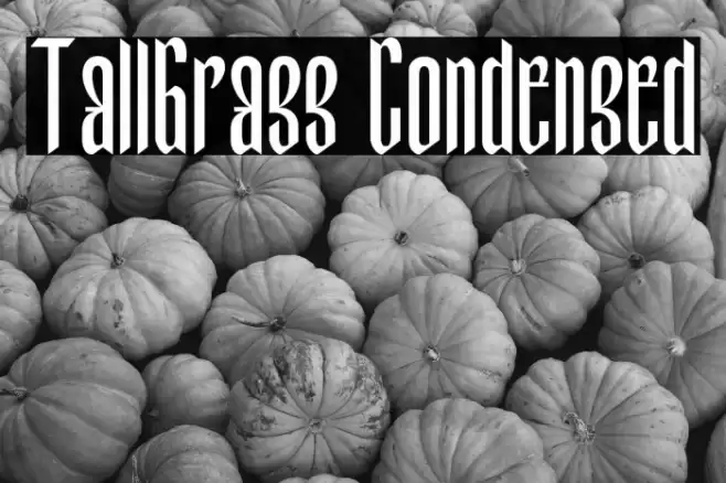 TallGrass Condensed Font examples