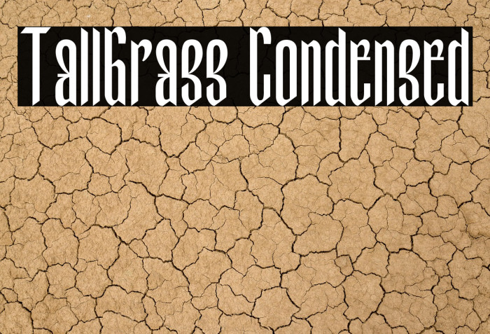 TallGrass Condensed Example 2