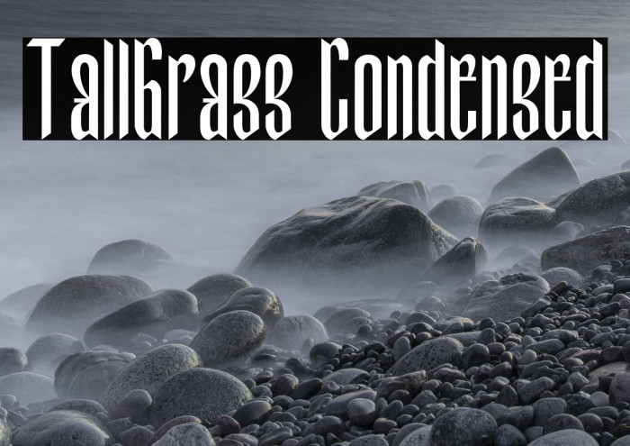 TallGrass Condensed Example 3