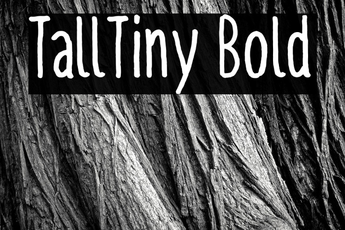 TallTiny Bold Example 1