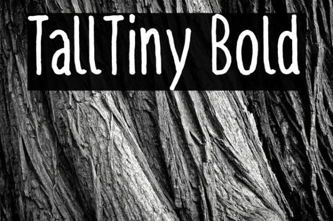 TallTiny Bold Example 1