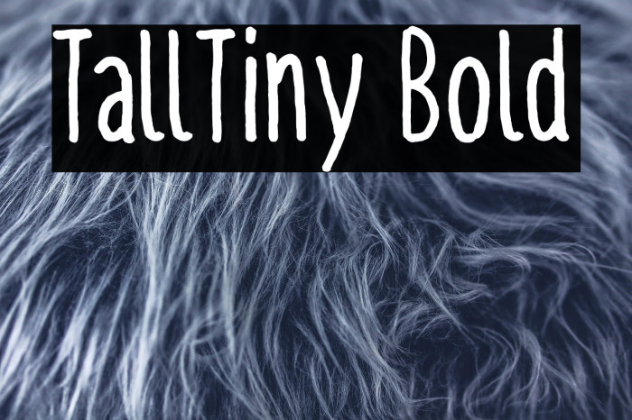 TallTiny Bold Example 2