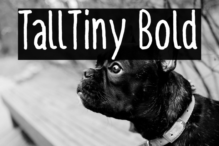 TallTiny Bold Example 3