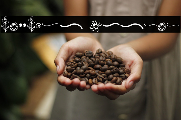 TallTiny Extras Example 2