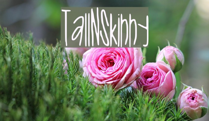 Tall_N_Skinny Font examples