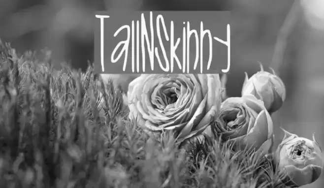 Tall_N_Skinny خط examples