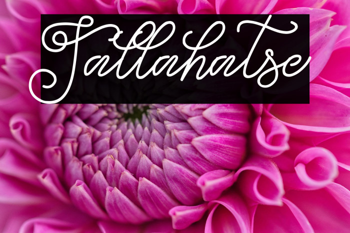 Tallahatse Example 1