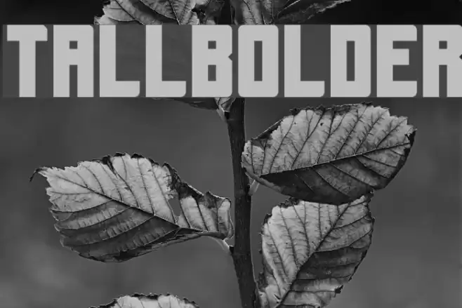 Tallbolder Font examples