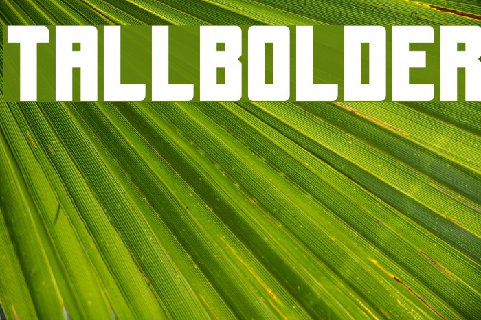 Tallbolder Example 3