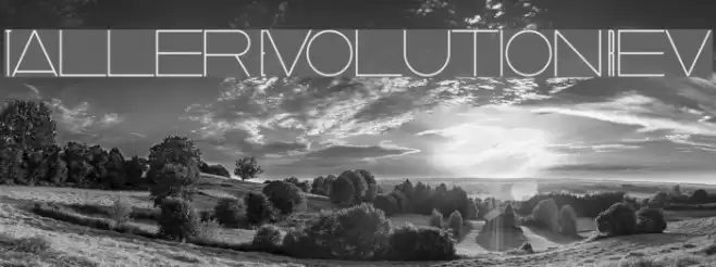 Taller  Evolution Rev Font examples