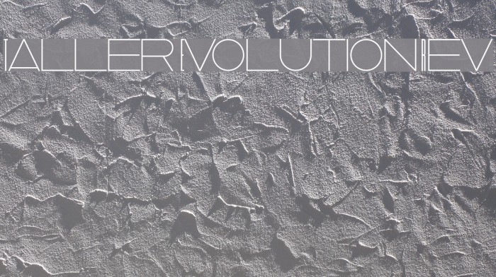 Taller Evolution Rev Font examples