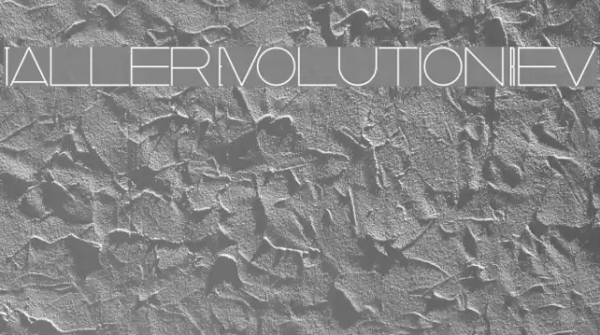 Taller  Evolution Rev Font examples