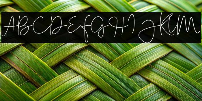 Tallitha Free Example 1