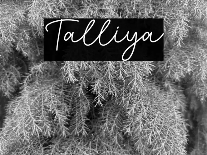 Talliya Font examples