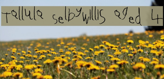Tallula SelbyWillis aged 4 Font examples