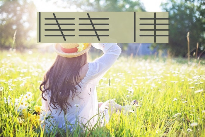 Tally Mark Example 2