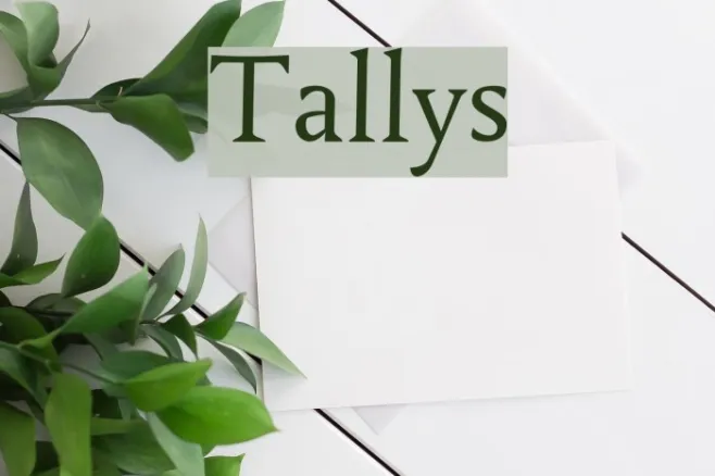 Tallys Example 1