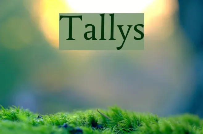 Tallys Example 2