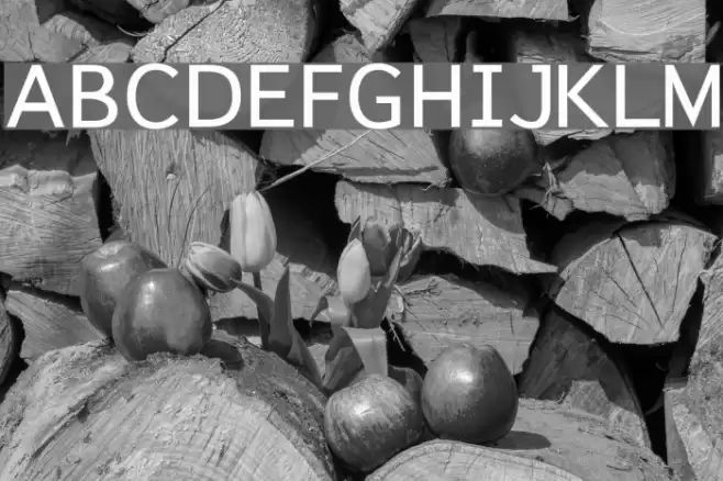 Talos Fonte examples