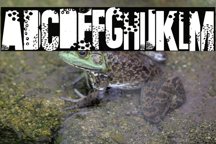 Talvez Assim Example 3