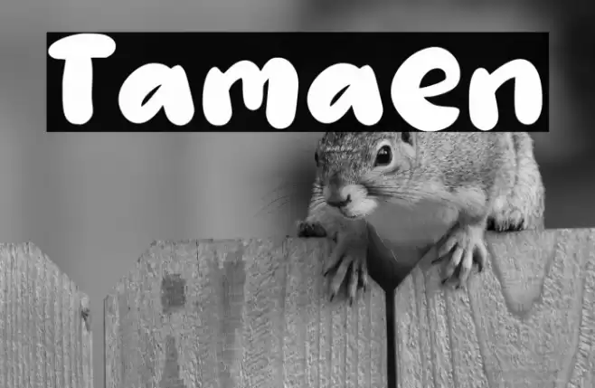 Tamaen フォント examples
