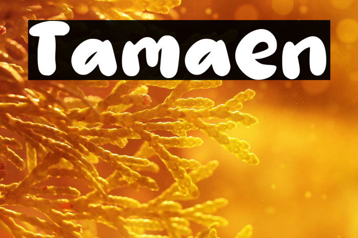 Tamaen Example 3