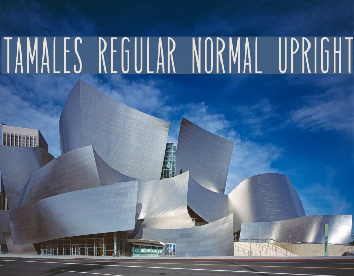 Tamales Regular Normal Upright Font examples