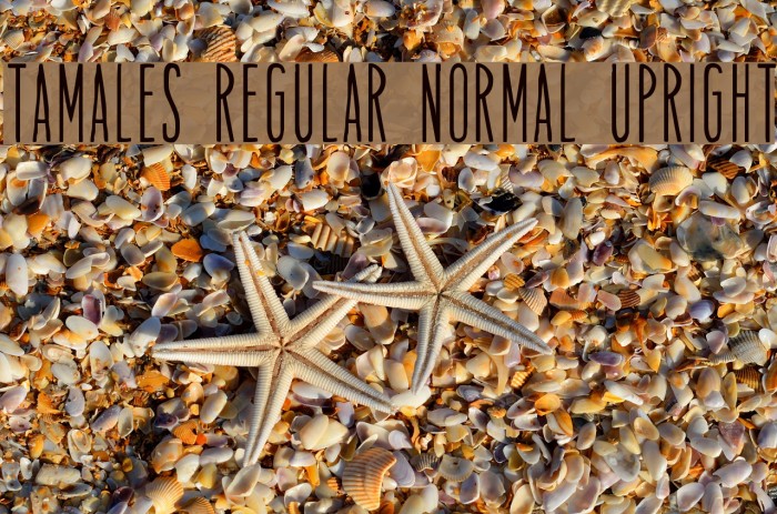 Tamales Regular Normal Upright Font examples