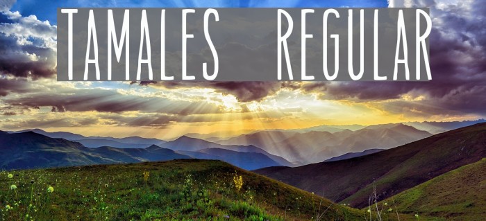 Tamales Regular Font examples