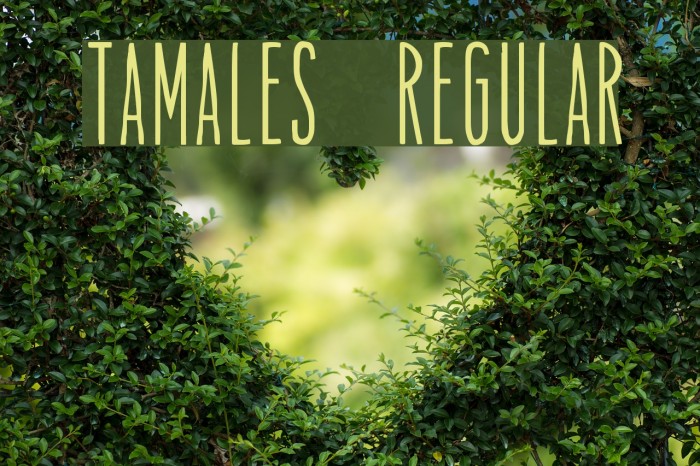 Tamales Regular Font examples