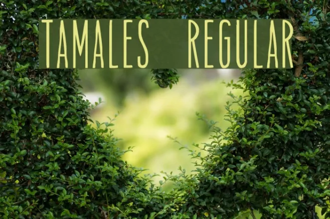 Tamales Regular Example 2