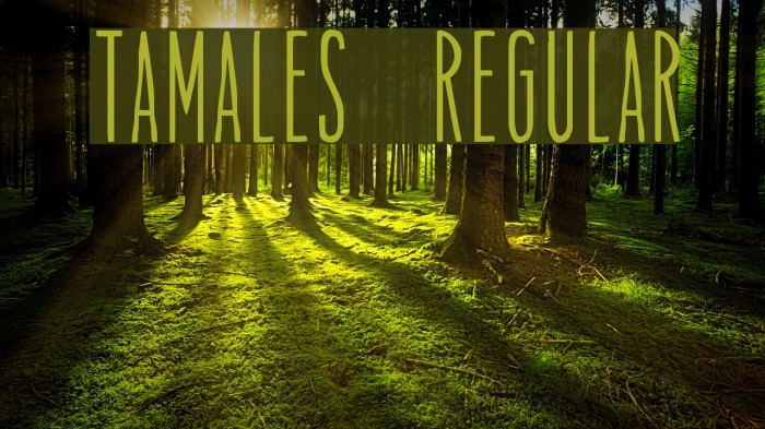 Tamales Regular Font examples