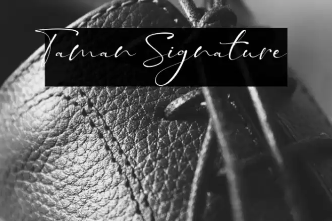 Taman Signature Font examples