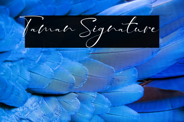 Taman Signature Example 2