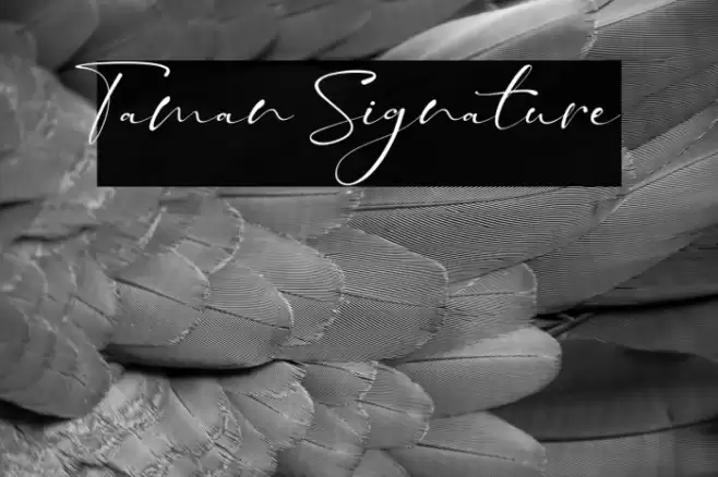 Taman Signature Font examples