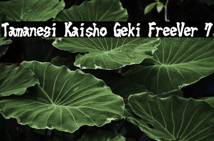 Tamanegi Kaisho Geki FreeVer 7 Example 1