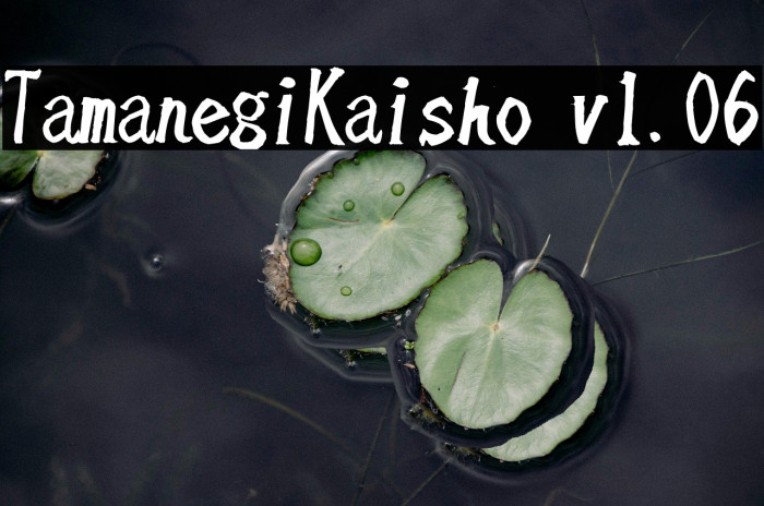TamanegiKaisho v1.06 Example 1