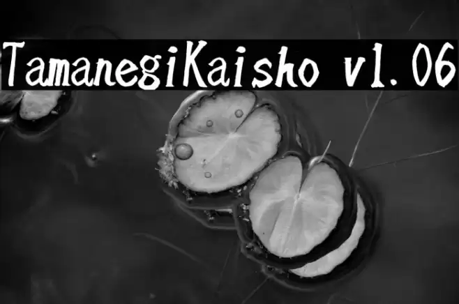 TamanegiKaisho v1.06 Font examples