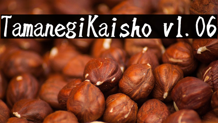 TamanegiKaisho v1.06 Example 2