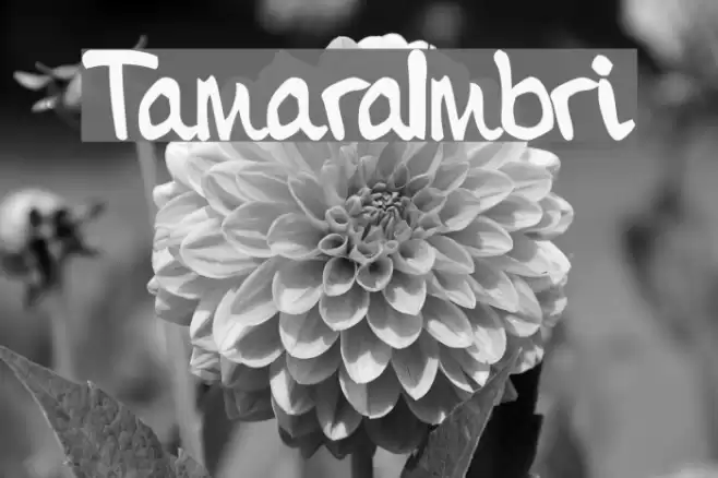 TamaraImbri Font examples