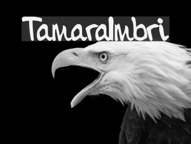 TamaraImbri Font examples