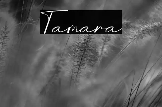 Tamara Font examples