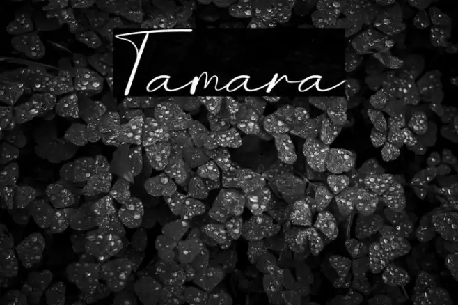 Tamara Font examples