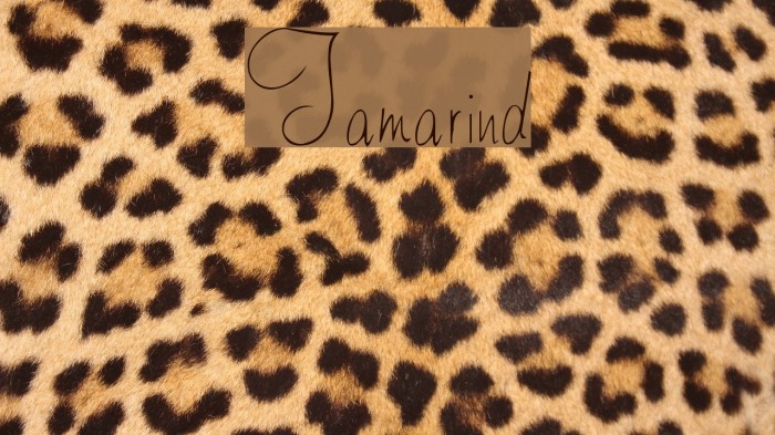 Tamarind Font examples