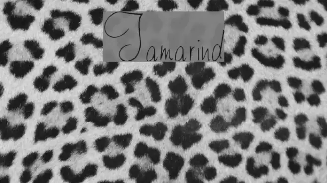 Tamarind Font examples