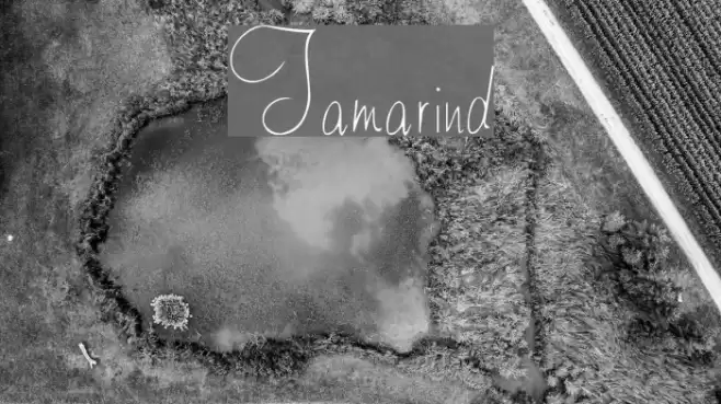 Tamarind Font examples