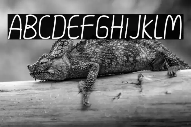 Tamasya Font examples